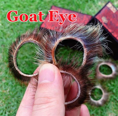 The goat eyelid sex toy .